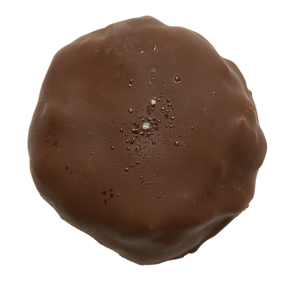 Tortuga Keto – Ketology Mx - Main Image